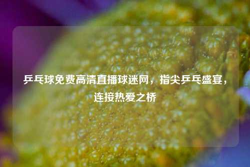 乒乓球免费高清直播球迷网,指尖乒乓盛宴,连接热爱之桥