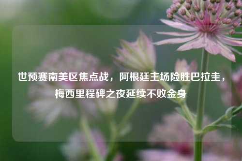 世预赛南美区焦点战，阿根廷主场险胜巴拉圭，梅西里程碑之夜延续不败金身