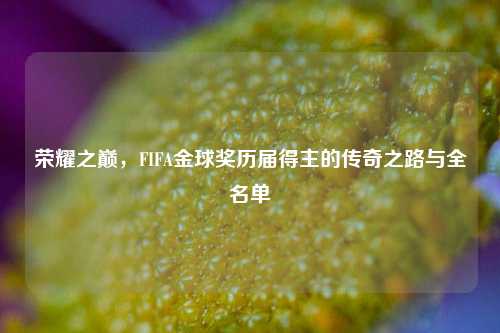 荣耀之巅，FIFA金球奖历届得主的传奇之路与全名单