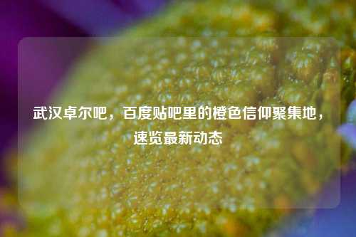 武汉卓尔吧,百度贴吧里的橙色信仰聚集地,速览最新动态