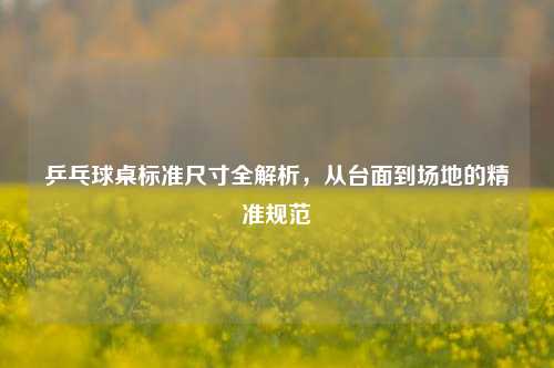 乒乓球桌标准尺寸全解析，从台面到场地的精准规范
