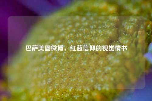 巴萨美图微博，红蓝信仰的视觉情书