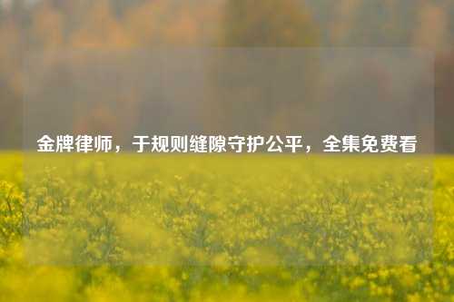 金牌律师,于规则缝隙守护公平,全集免费看