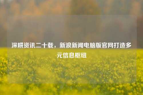 深耕资讯二十载，新浪新闻电脑版官网打造多元信息枢纽