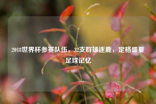 2018世界杯参赛队伍，32支群雄逐鹿，定格盛夏足球记忆