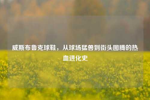 详细阅读:威斯布鲁克球鞋,从球场猛兽到街头图腾的热血进化史 威斯布鲁克球鞋,从球场猛兽到街头图腾的热血进化史