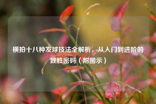 详细阅读:横拍十八种发球技法全解析,从入门到进阶的致胜密码(附图示) 横拍十八种发球技法全解析,从入门到进阶的致胜密码(附图示)