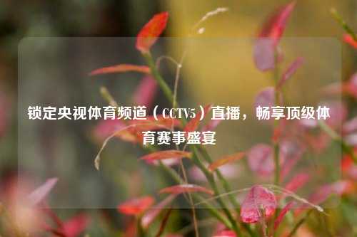 锁定央视体育频道（CCTV5）直播，畅享顶级体育赛事盛宴