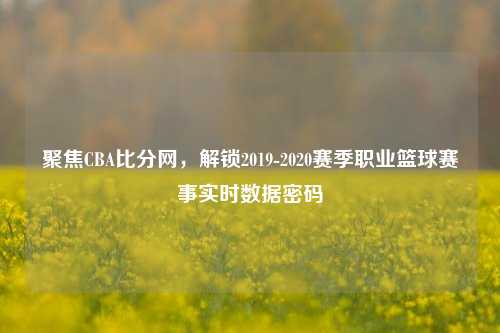 聚焦CBA比分网，解锁2019-2020赛季职业篮球赛事实时数据密码
