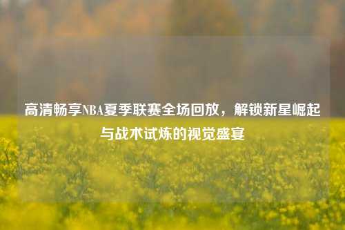 高清畅享NBA夏季联赛全场回放，解锁新星崛起与战术试炼的视觉盛宴