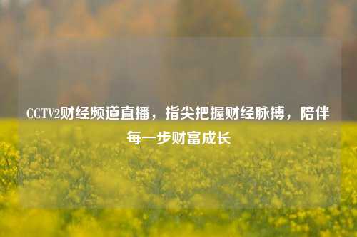 CCTV2财经频道直播，指尖把握财经脉搏，陪伴每一步财富成长