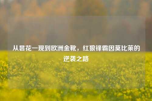 从昙花一现到欧洲金靴，红狼锋霸因莫比莱的逆袭之路