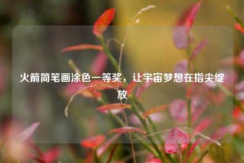 火箭简笔画涂色一等奖，让宇宙梦想在指尖绽放