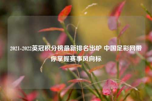 2021-2022英冠积分榜最新排名出炉 中国足彩网带你掌握赛事风向标