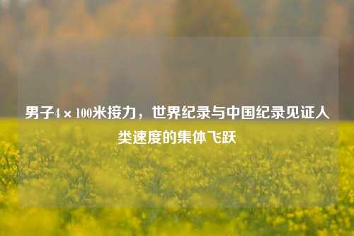 男子4×100米接力，世界纪录与中国纪录见证人类速度的集体飞跃