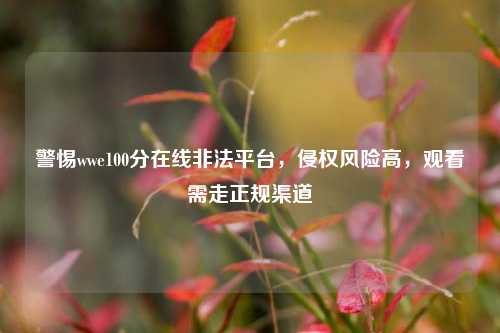 警惕wwe100分在线非法平台，侵权风险高，观看需走正规渠道