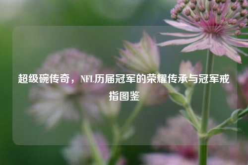 超级碗传奇，NFL历届冠军的荣耀传承与冠军戒指图鉴