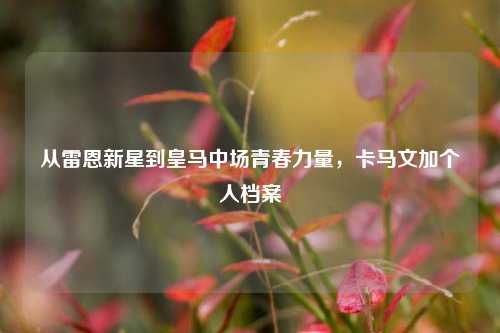 从雷恩新星到皇马中场青春力量，卡马文加个人档案