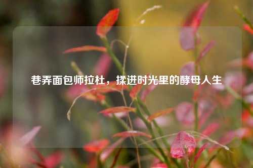 巷弄面包师拉杜，揉进时光里的酵母人生