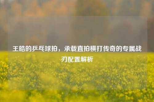 王皓的乒乓球拍，承载直拍横打传奇的专属战刃配置解析