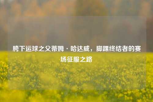 胯下运球之父蒂姆·哈达威，脚踝终结者的赛场征服之路