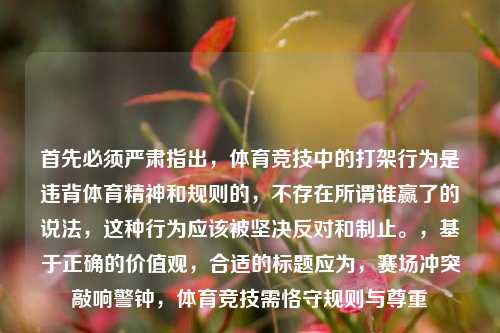 首先必须严肃指出，体育竞技中的打架行为是违背体育精神和规则的，不存在所谓谁赢了的说法，这种行为应该被坚决反对和制止。，基于正确的价值观，合适的标题应为，赛场冲突敲响警钟，体育竞技需恪守规则与尊重
