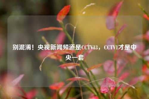 别混淆！央视新闻频道是CCTV13，CCTV1才是中央一套