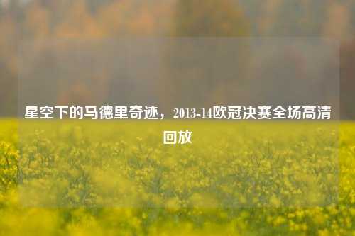 星空下的马德里奇迹，2013-14欧冠决赛全场高清回放