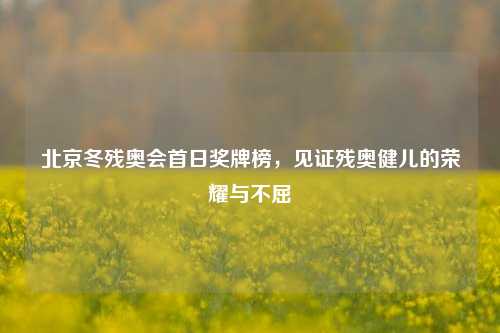 北京冬残奥会首日奖牌榜，见证残奥健儿的荣耀与不屈