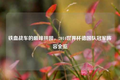 铁血战车的巅峰拼图，2014世界杯德国队冠军阵容全览
