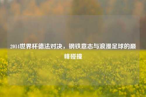 2014世界杯德法对决，钢铁意志与浪漫足球的巅峰碰撞