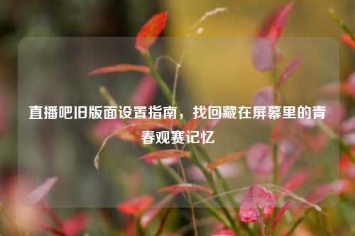 直播吧旧版面设置指南，找回藏在屏幕里的青春观赛记忆