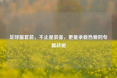 足球服套装，不止是装备，更是承载热爱的专属战袍