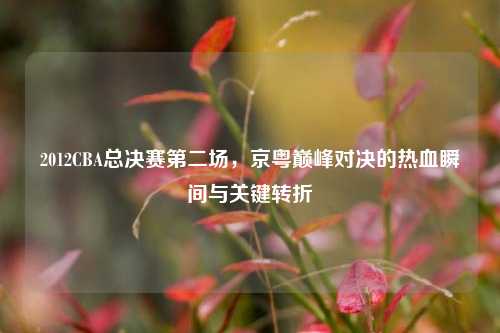 2012CBA总决赛第二场，京粤巅峰对决的热血瞬间与关键转折