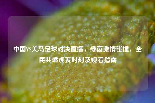中国VS关岛足球对决直播，绿茵     碰撞，全民共燃观赛时刻及观看指南