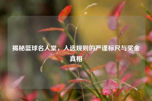 揭秘篮球名人堂，入选规则的严谨标尺与奖金真相