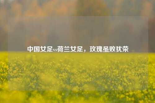 中国女足vs荷兰女足，玫瑰虽败犹荣