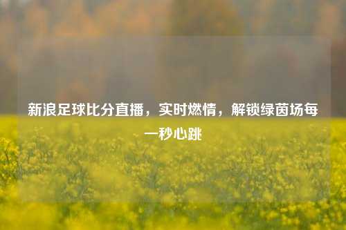 新浪足球比分直播，实时燃情，解锁绿茵场每一秒心跳