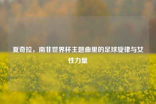 夏奇拉，南非世界杯主题曲里的足球旋律与女性力量