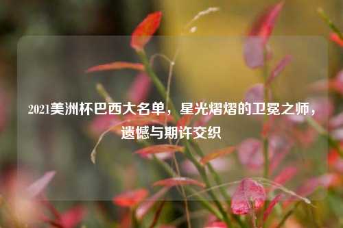 2021美洲杯巴西大名单，星光熠熠的卫冕之师，遗憾与期许交织