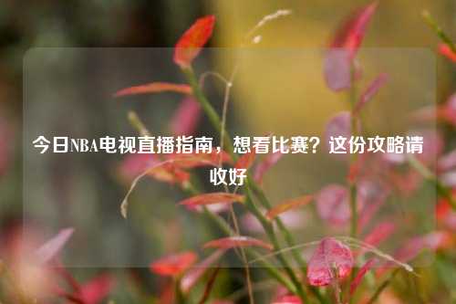 今日NBA电视直播指南，想看比赛？这份攻略请收好