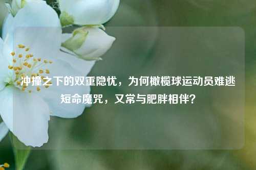 冲撞之下的双重隐忧，为何橄榄球运动员难逃短命魔咒，又常与肥胖相伴？