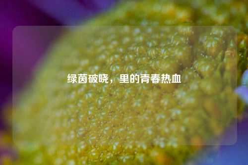 绿茵破晓，里的青春热血