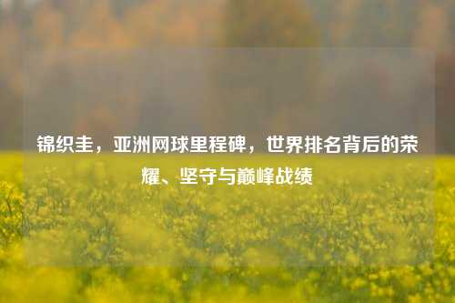 锦织圭，亚洲网球里程碑，世界排名背后的荣耀、坚守与巅峰战绩