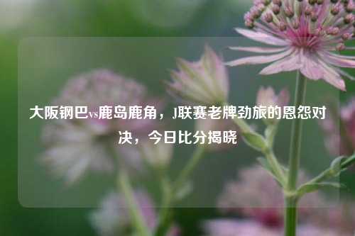 大阪钢巴vs鹿岛鹿角，J联赛老牌劲旅的恩怨对决，今日比分揭晓