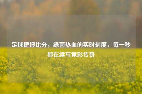 足球捷报比分，绿茵热血的实时刻度，每一秒都在续写竞彩传奇