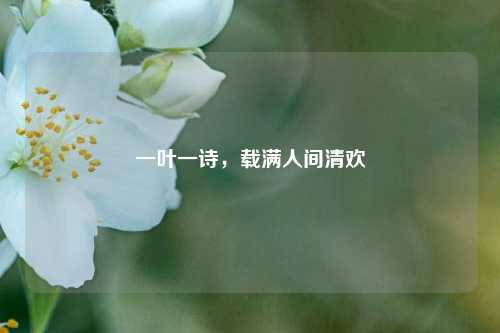 一叶一诗,载满人间清欢