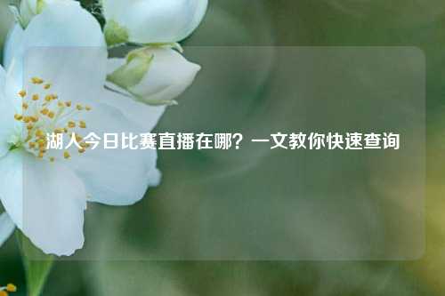 湖人今日比赛直播在哪？一文教你快速查询