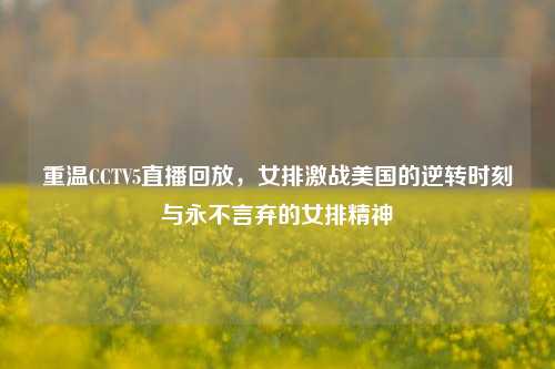 重温CCTV5直播回放，女排激战美国的逆转时刻与永不言弃的女排精神
