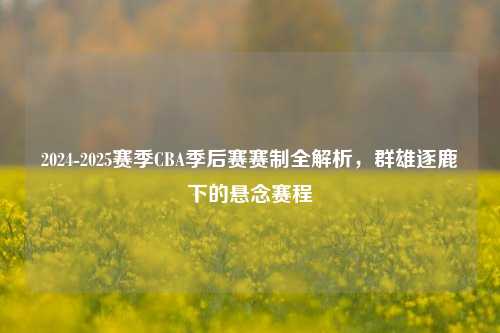 2024-2025赛季CBA季后赛赛制全解析，群雄逐鹿下的悬念赛程